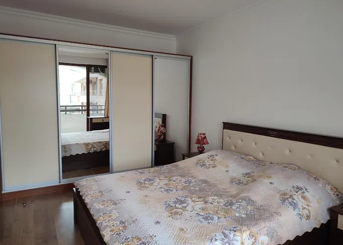 Dom-el Real Amphora * Szveti Vlasz